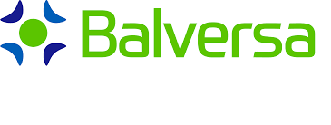 Logo von BALVERSA