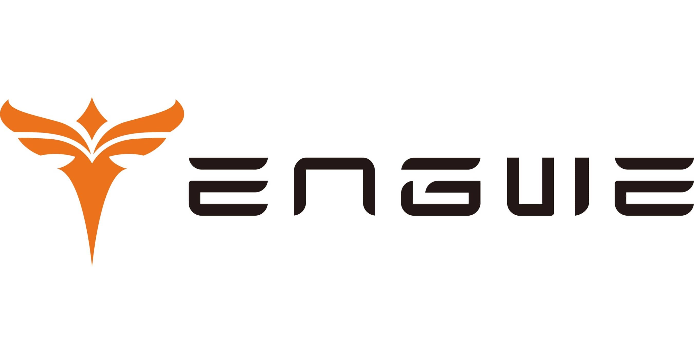 Logo von ENGWE
