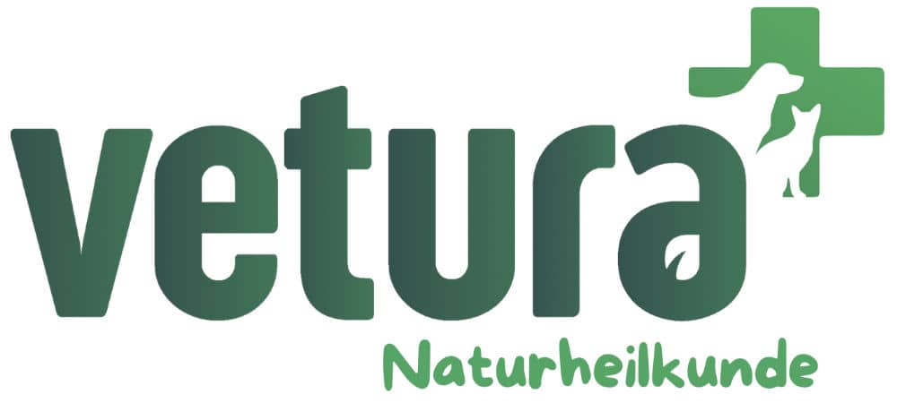 Logo von vetura