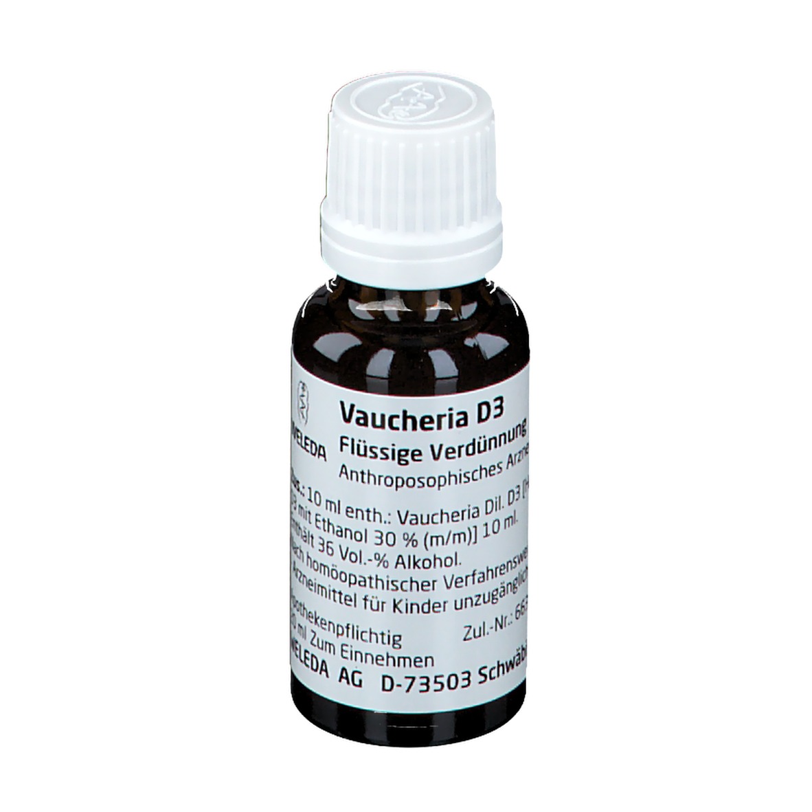 Vaucheria D3 Dilution