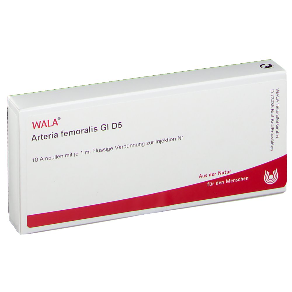 Arteria Femoralis Gl D 5 Amp.