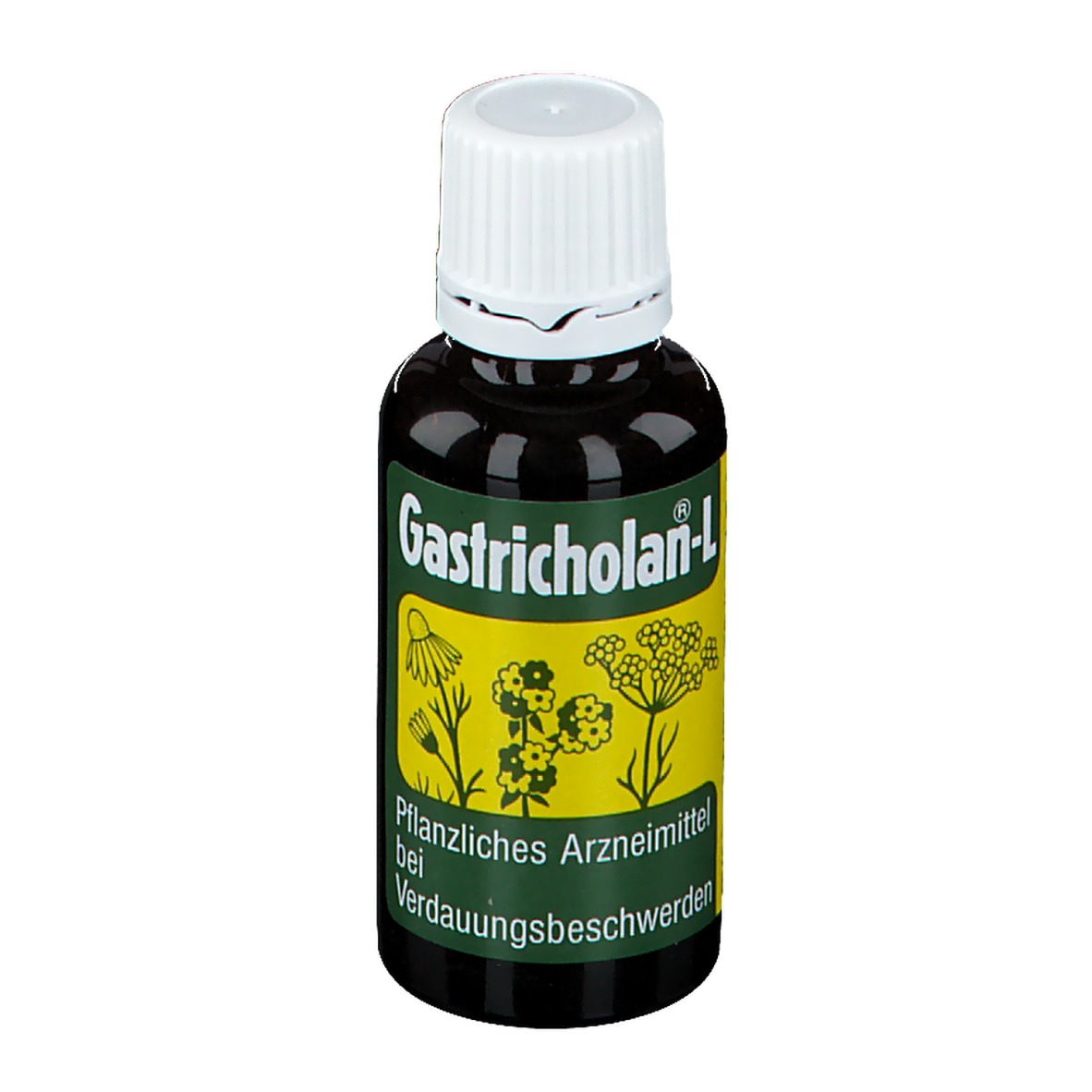 Gastricholan L fluessig