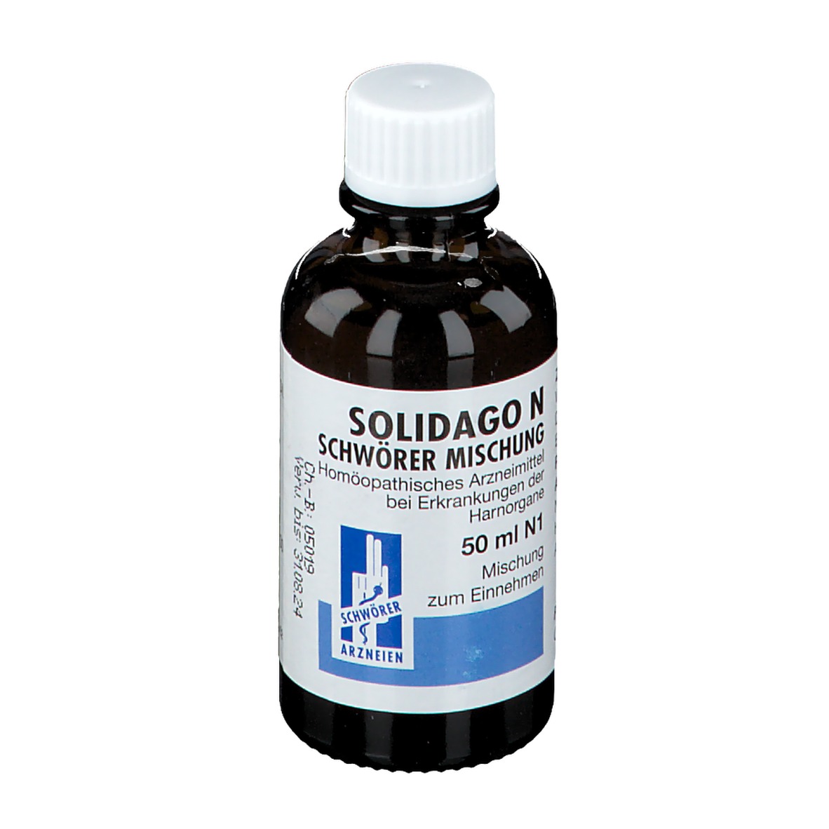 Solidago N Schwoerer Mischung
