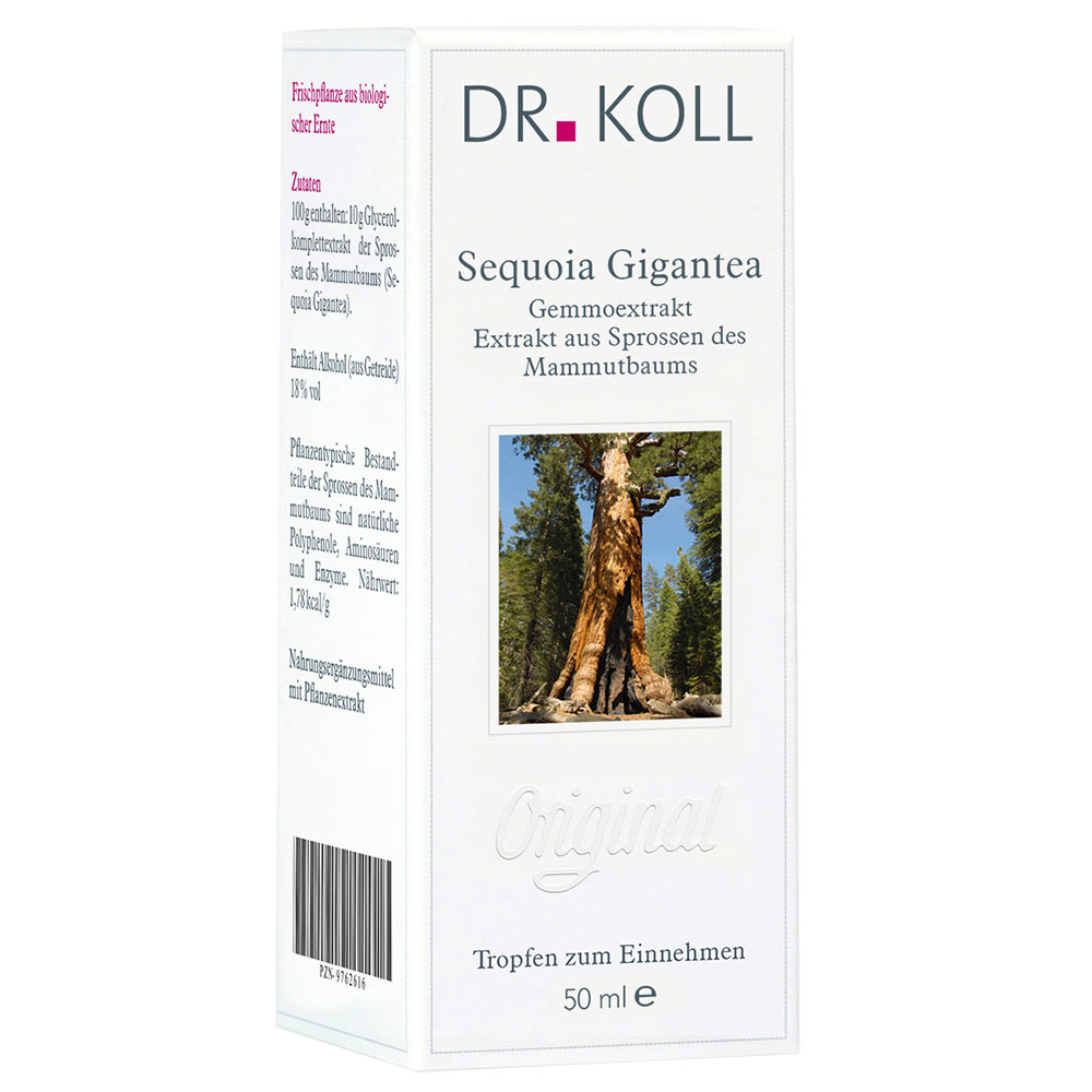 DR. Koll Sequoia Gigantea Gemmoextrakt