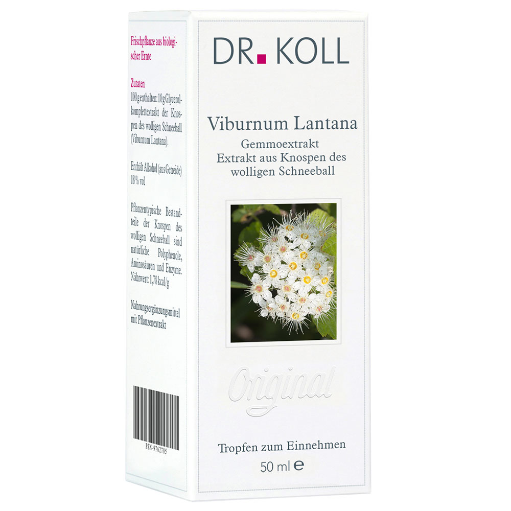DR. Koll Viburnum Lantana Gemmoextrakt
