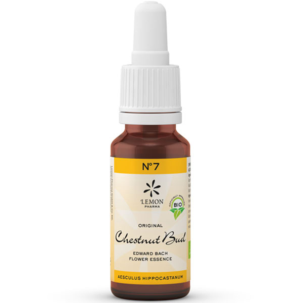 Lemon Pharma Original Bio Bachblüten Chestnut Bud No. 7