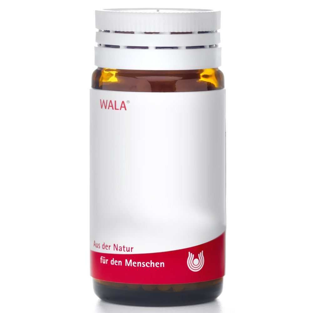 WALA® ARNICA/EPIPHYSIS/PLUMBUM Comp. B - Shop-apotheke.com