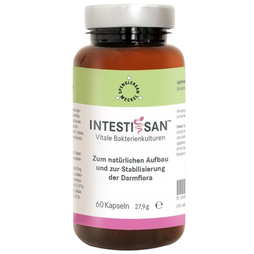 Intestisan