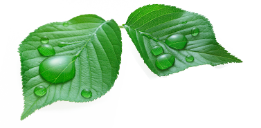 Sommer bei shop-apotheke.com Sommer bei shop-apotheke.com