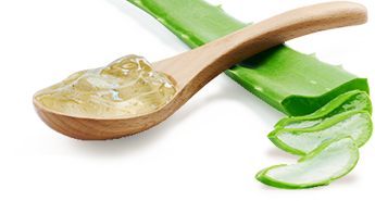 Sommer bei shop-apotheke.com Sommer bei shop-apotheke.com