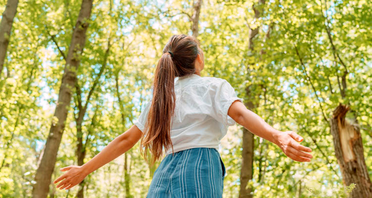 Eine Frau mit ausgestreckten Armen steht in einem sonnigen Wald und blickt nach oben.