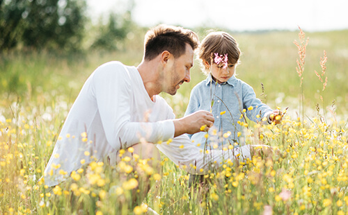 Ein Mann pflückt mit einem Kind Blumen auf einer Wiese. 
