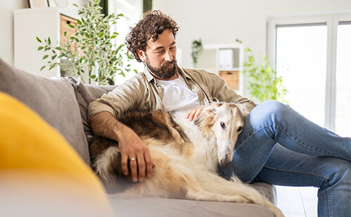 Ein Mann kuschelt mit seinem Hund auf der Couch. 