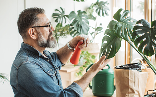 Ein Mann besprüht Pflanzen mit Wasser.