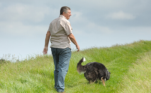 Ein Mann beim Spaziergang mit seinem Hund. 
