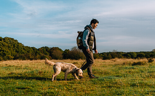Ein Mann geht mit seinem Hund draußen spazieren.