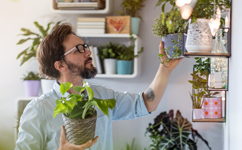 Ein Mann stellt Pflanzen in ein Regal.