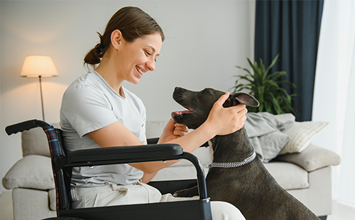 Frau im Rollstuhl spielt mit Hund. 