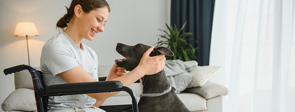 Eine Frau im Rollstuhl spielt mit einem Hund.