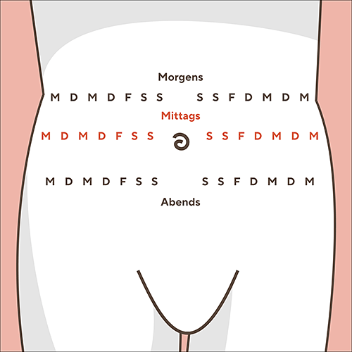 Die Illustration zeigt die Spritzreihen am Bauch als Rotationsmuster zum Injizieren.