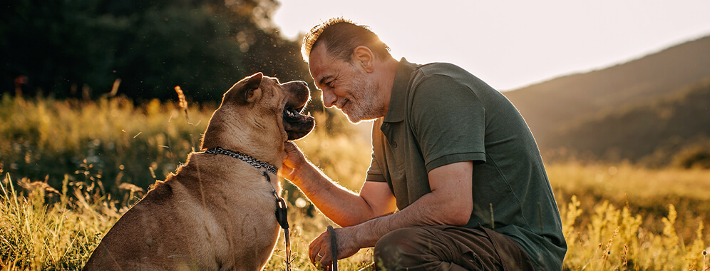 Ein Mann mit Psoriasis streichelt seinen Hund auf einer schönen Wiese vor einem Sonnenuntergang. 