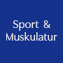 Sport & Muskulatur