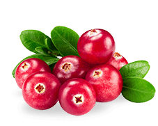 Cranberry