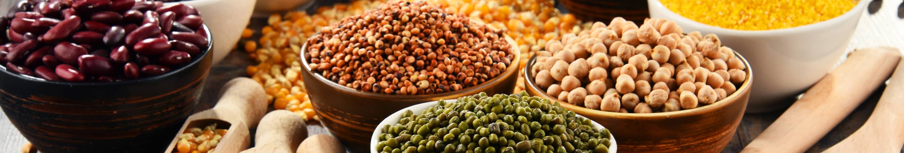 Banner Hülsenfrüchte