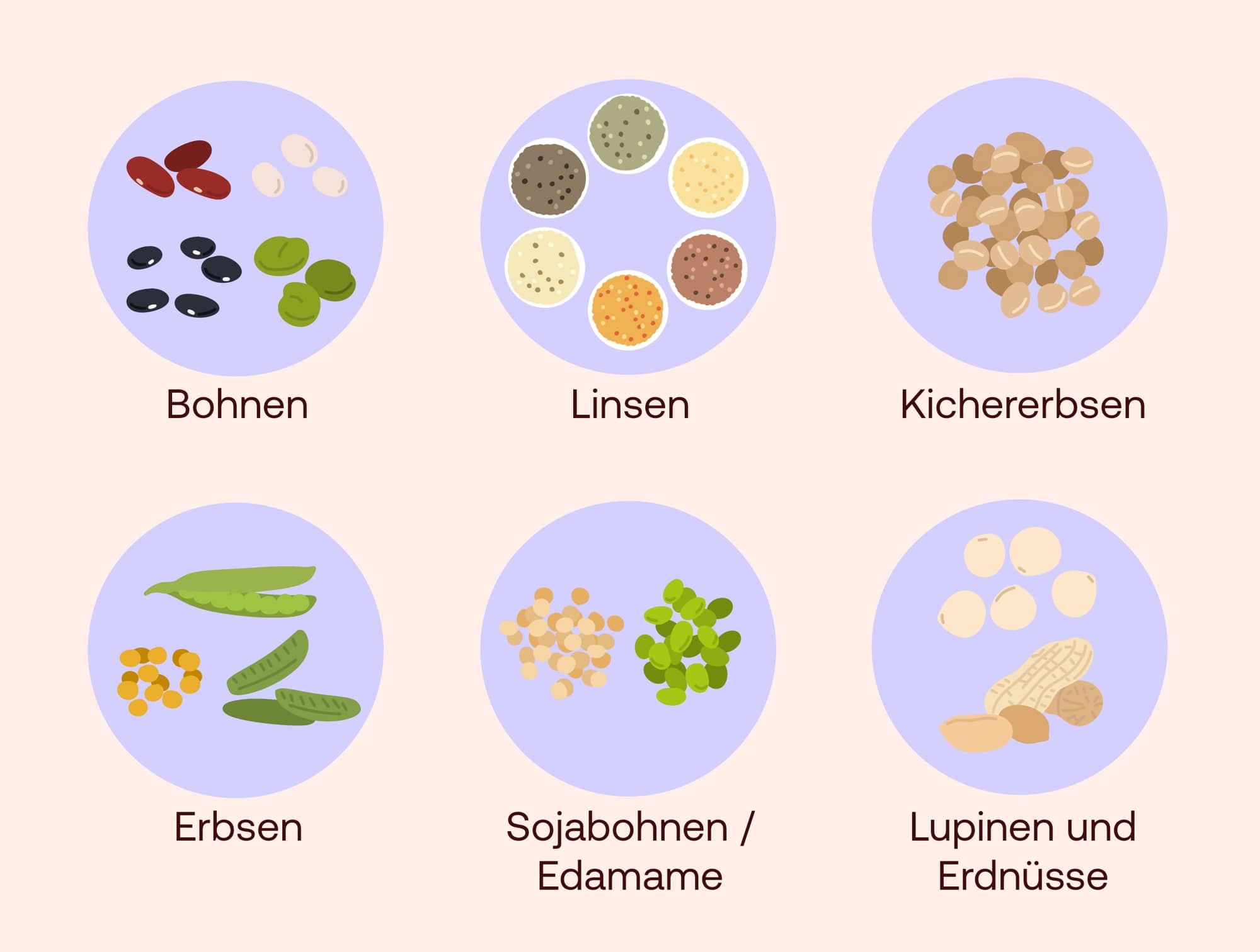 Hülsenfrüchte im Überblick