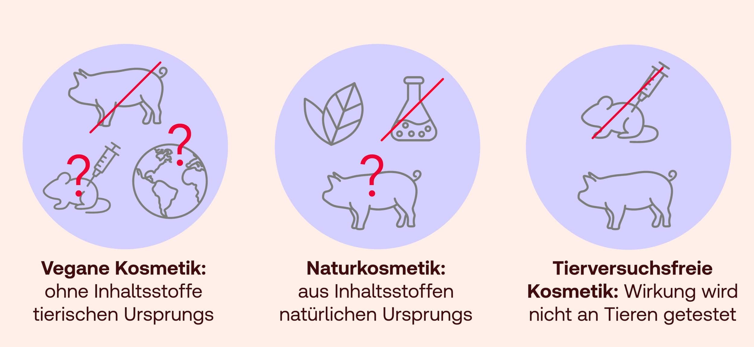 Kosmetik vegan vs. Naturkosmetik vs. tierversuchsfreie Kosmetik