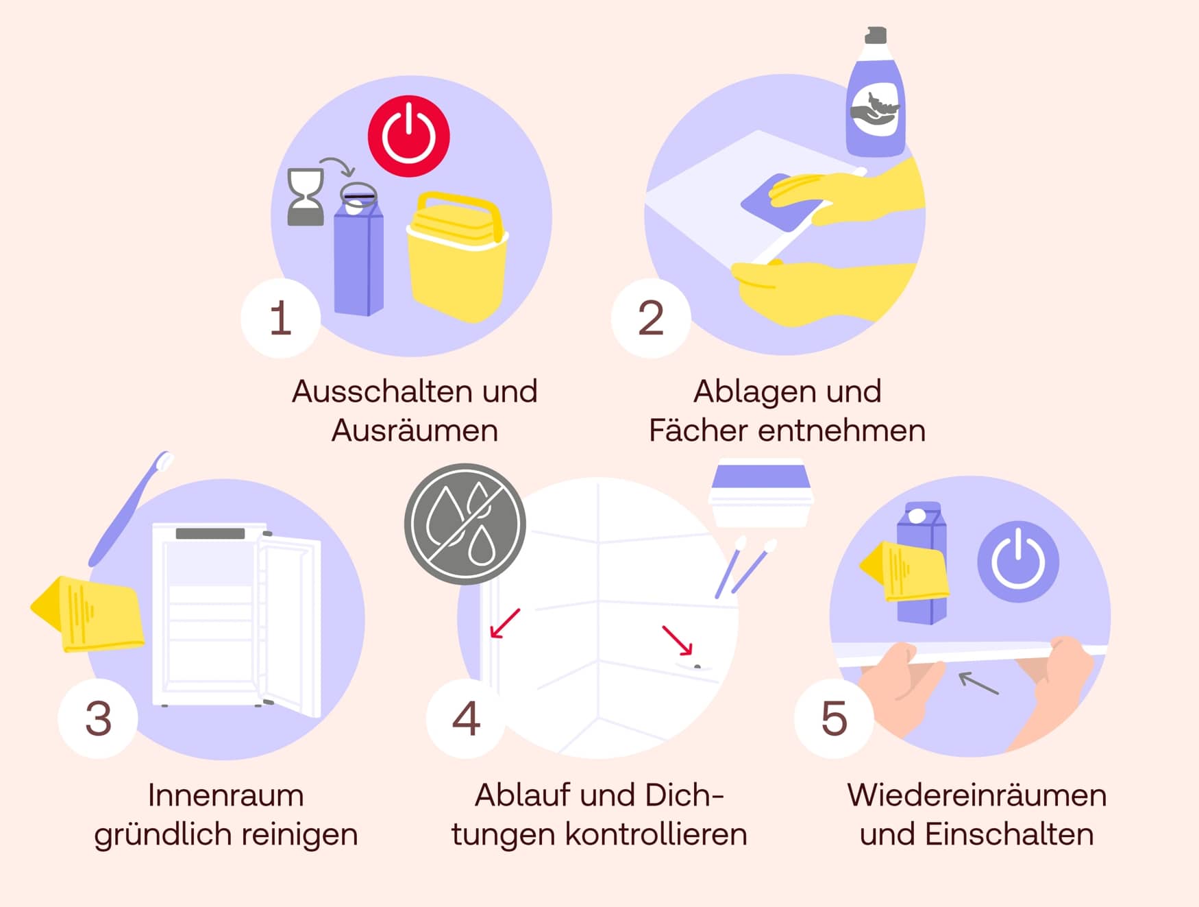 Kühlschrank richtig reinigen
