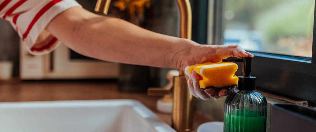 Das Richtige für jeden Zweck: Welche Schwämme gibt es?