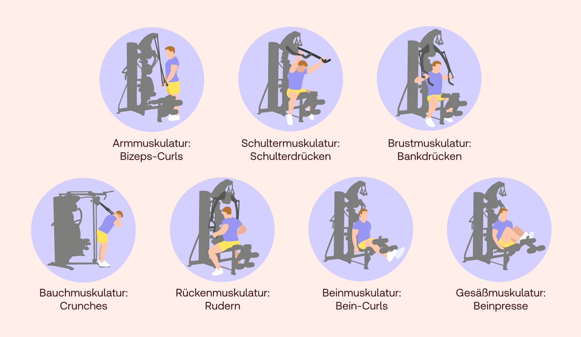 Übungen an der Kraftstation für zuhause