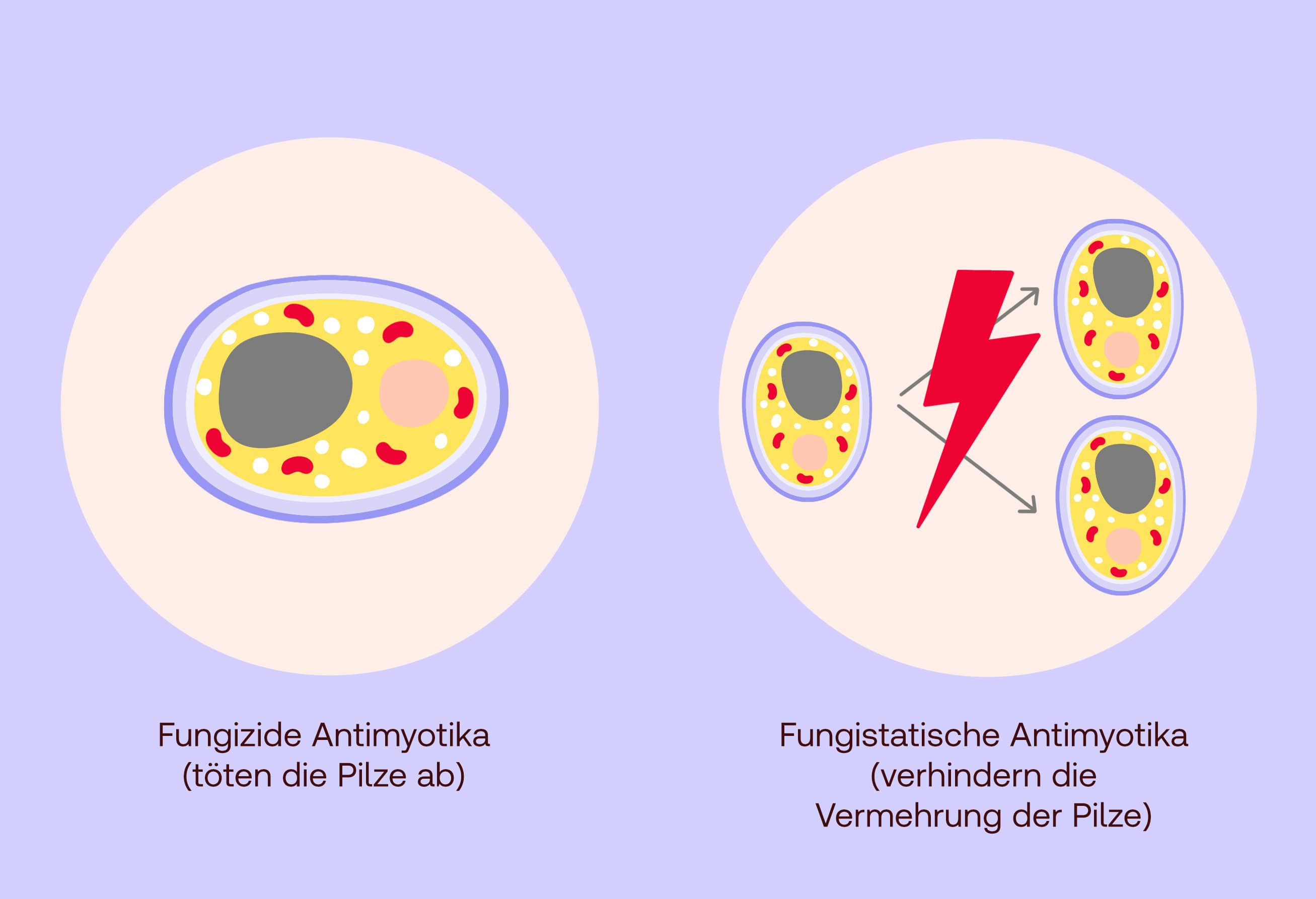 Antimykotika