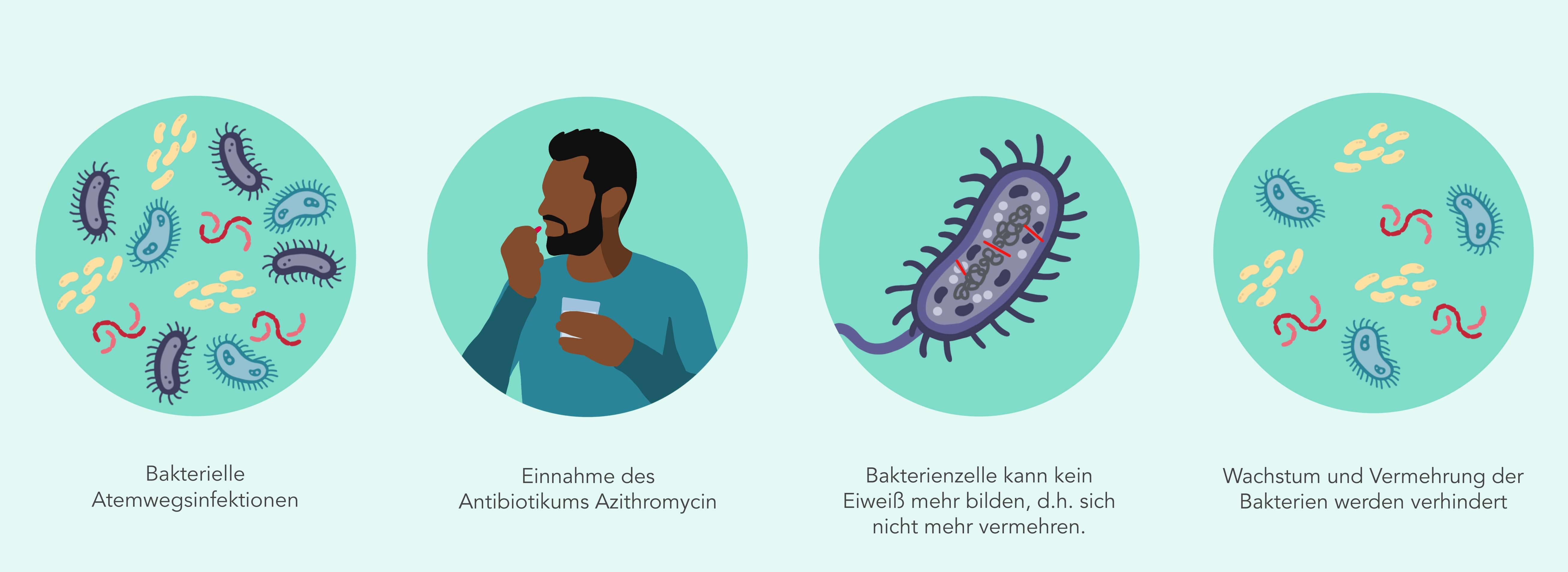 Wirkstoff Azithromycin: Anwendung & Wirkung | SHOP APOTHEKE