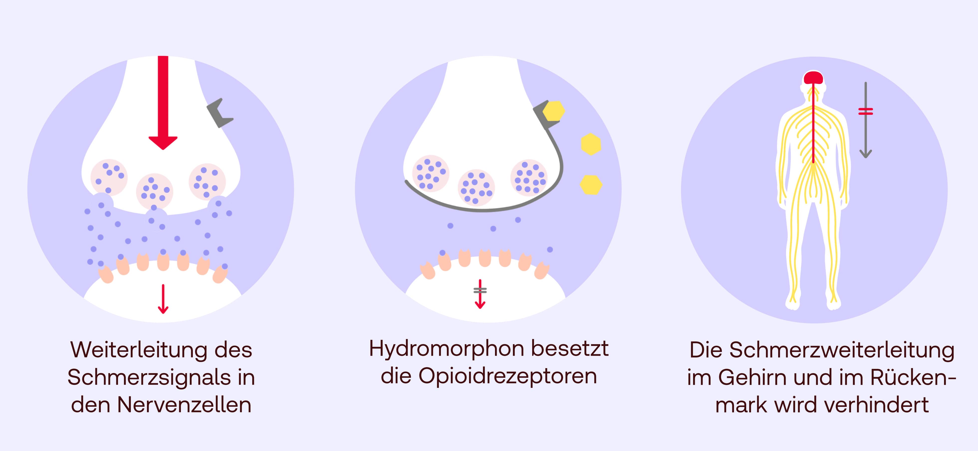 Hydromorphon Wirkung