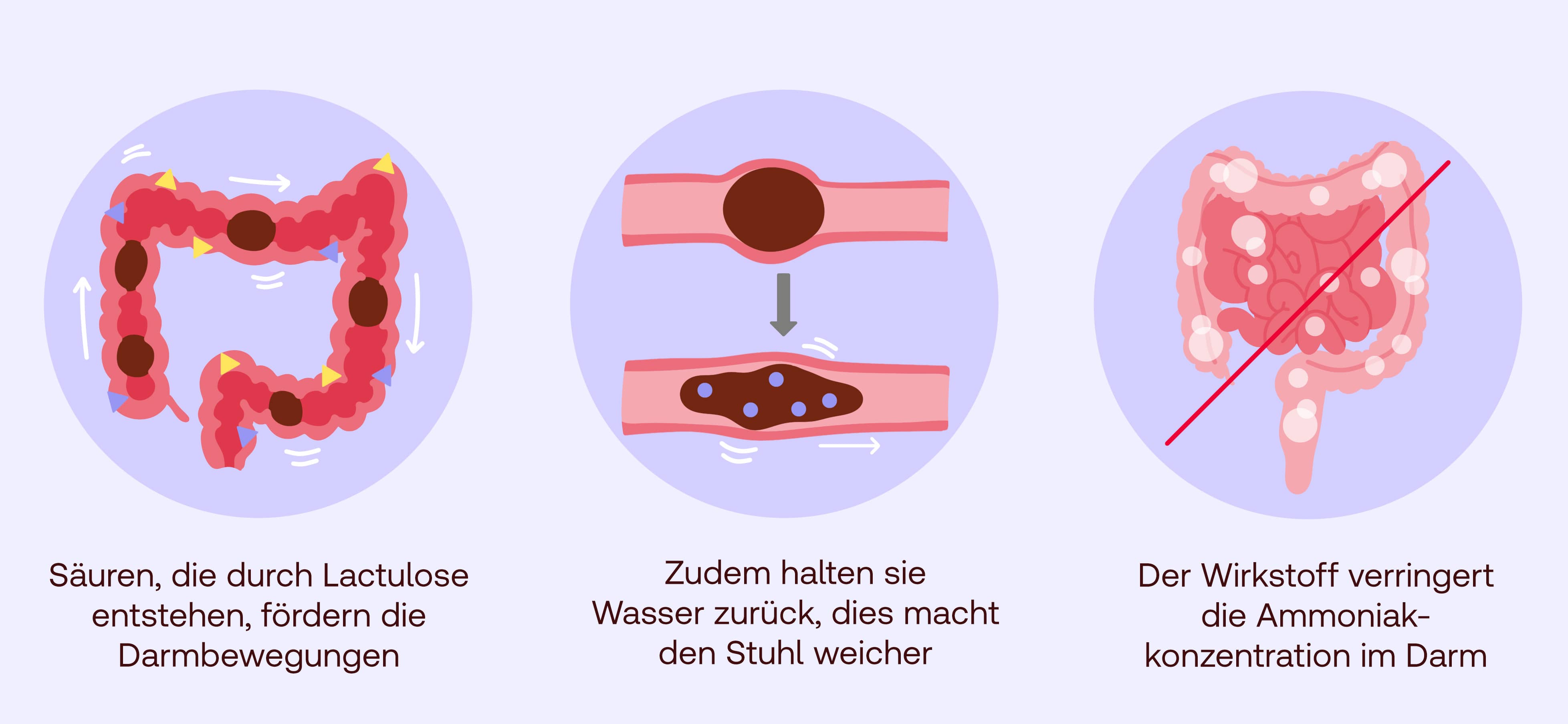Lactulose Wirkung