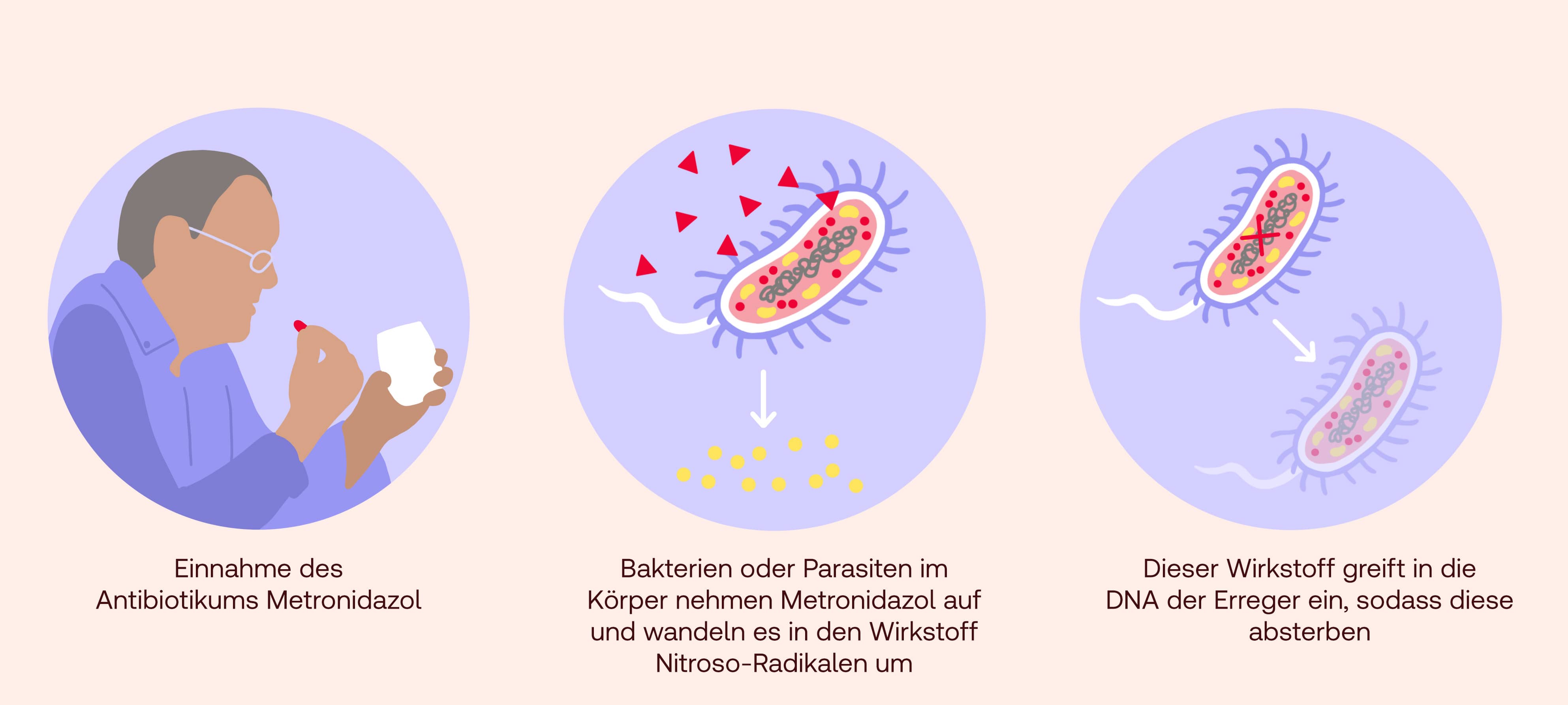 Wie wirkt Metronidazol?