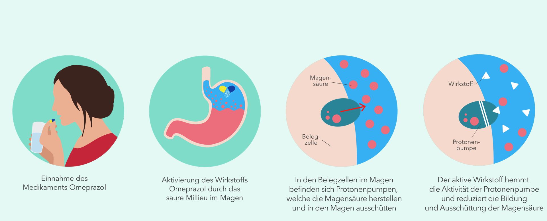 Wirkstoff Omeprazol: Anwendung & Wirkung | SHOP APOTHEKE