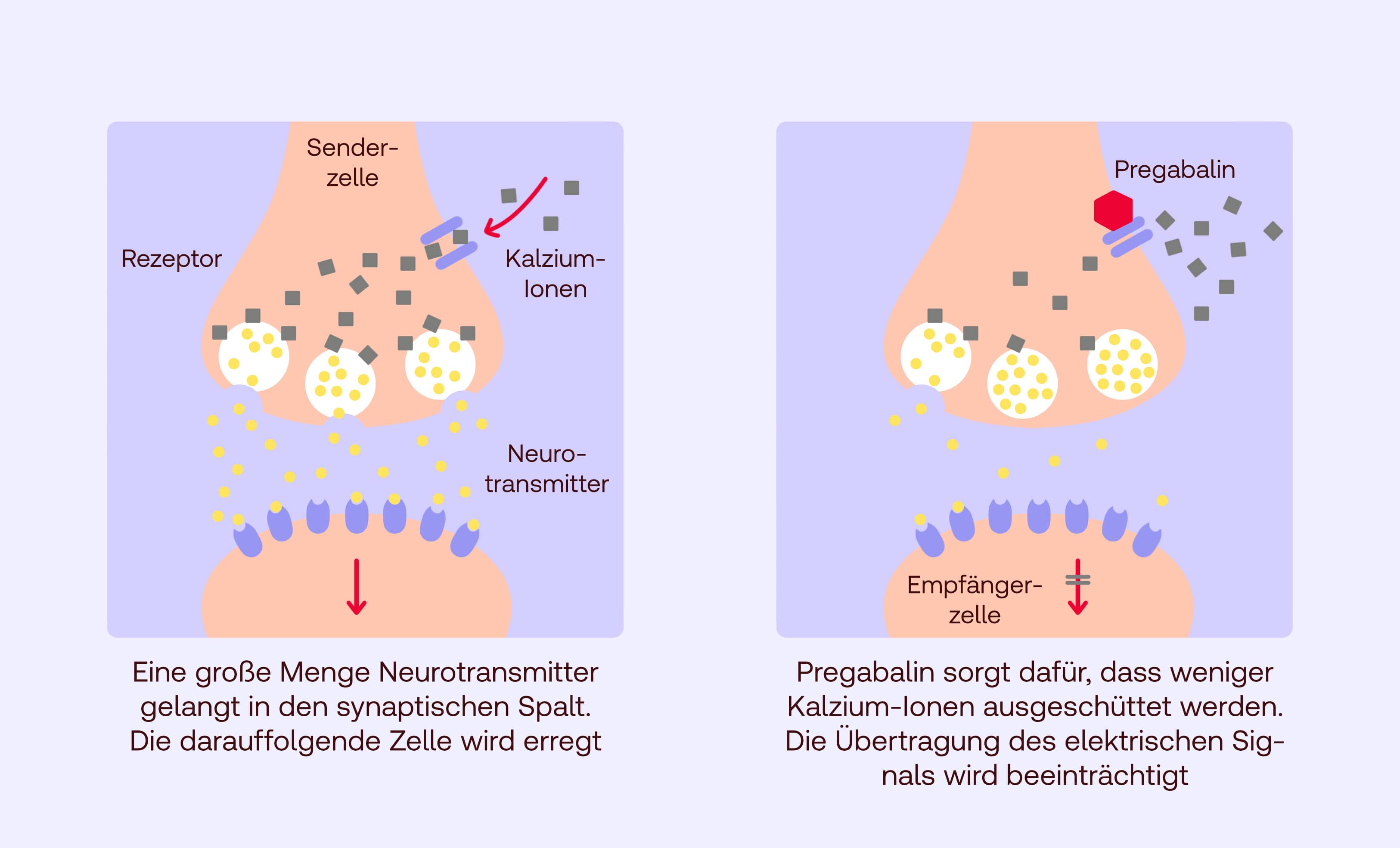 Pregabalin Wirkung