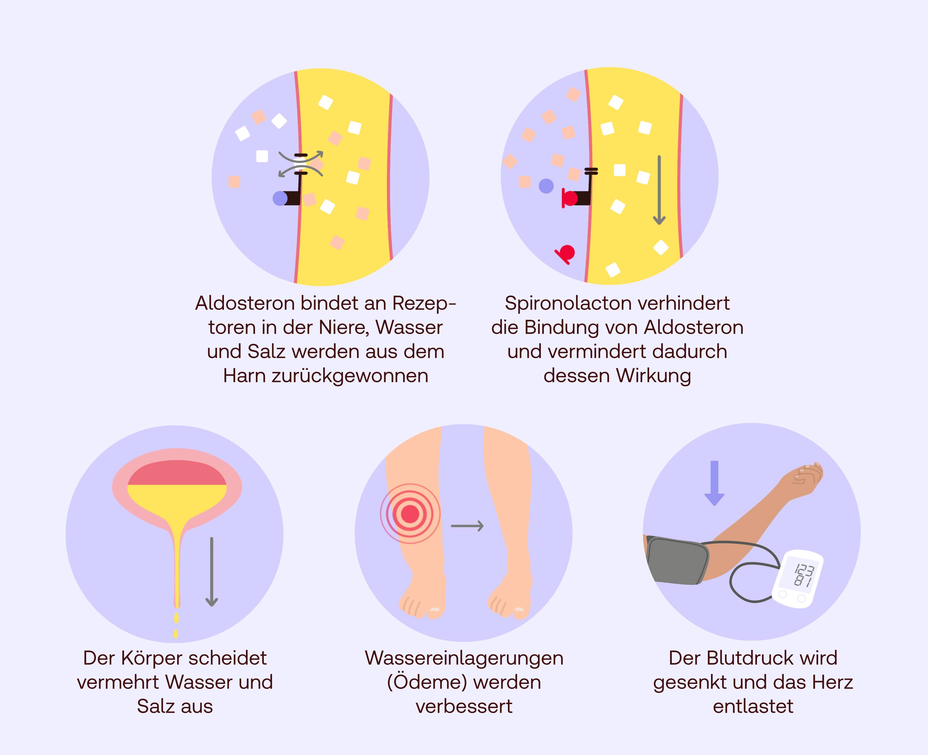 Spironolacton Wirkung