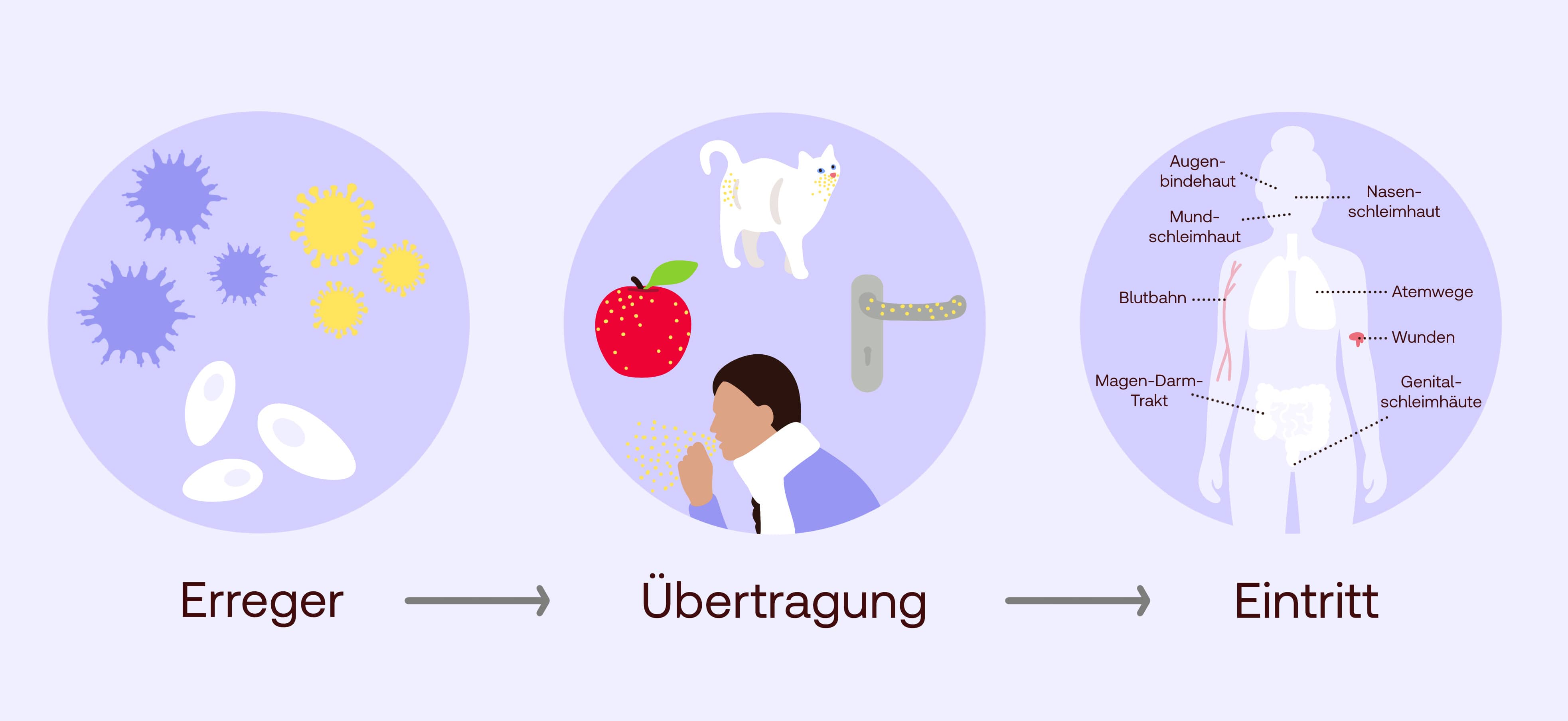 Wie kommt es zu Infektionskrankheiten?