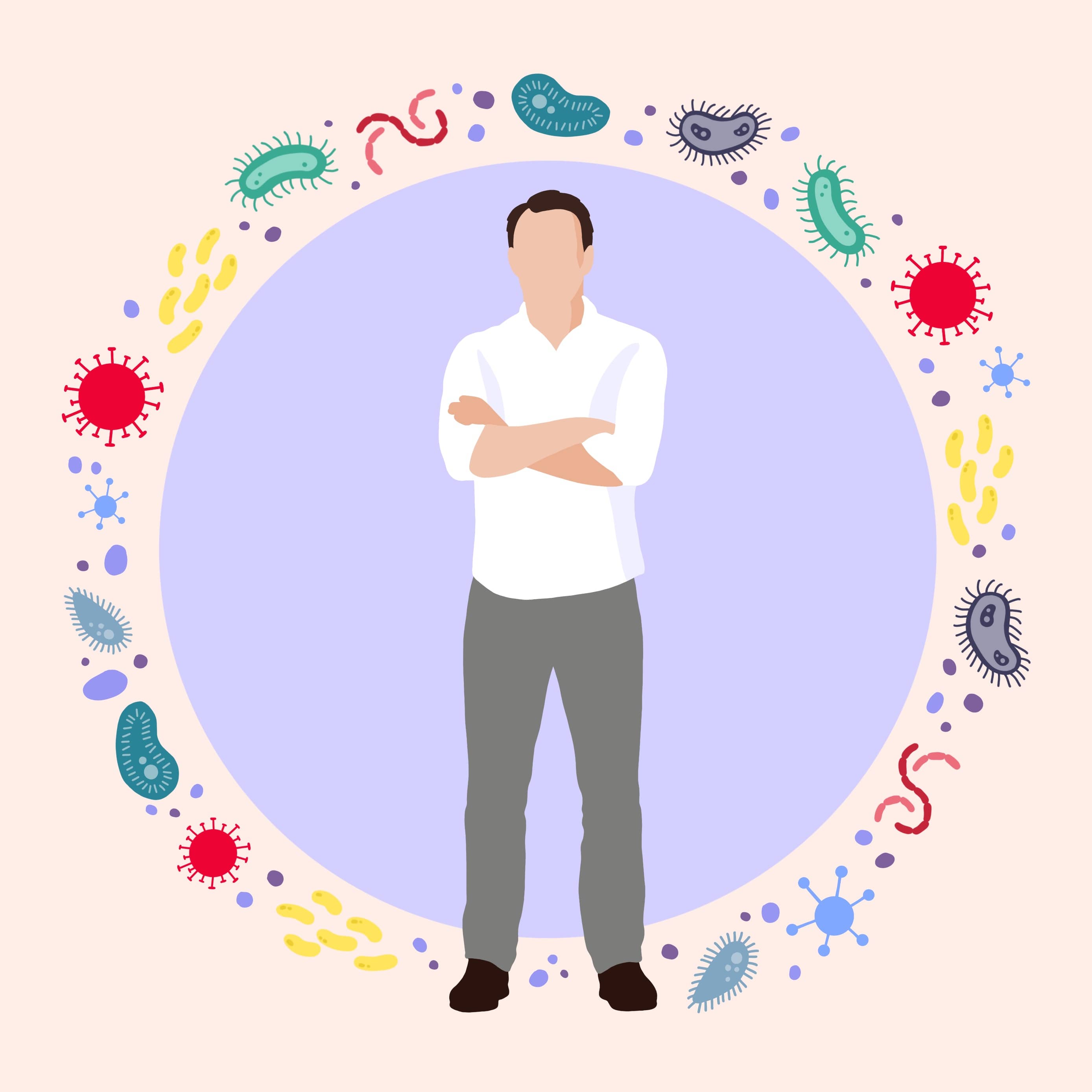 Illustration zum Aufbau des Immunsystems