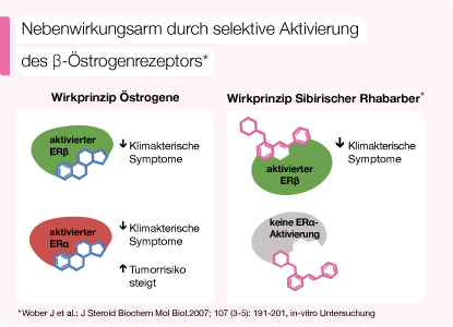 Schaubild Wirkprinzip