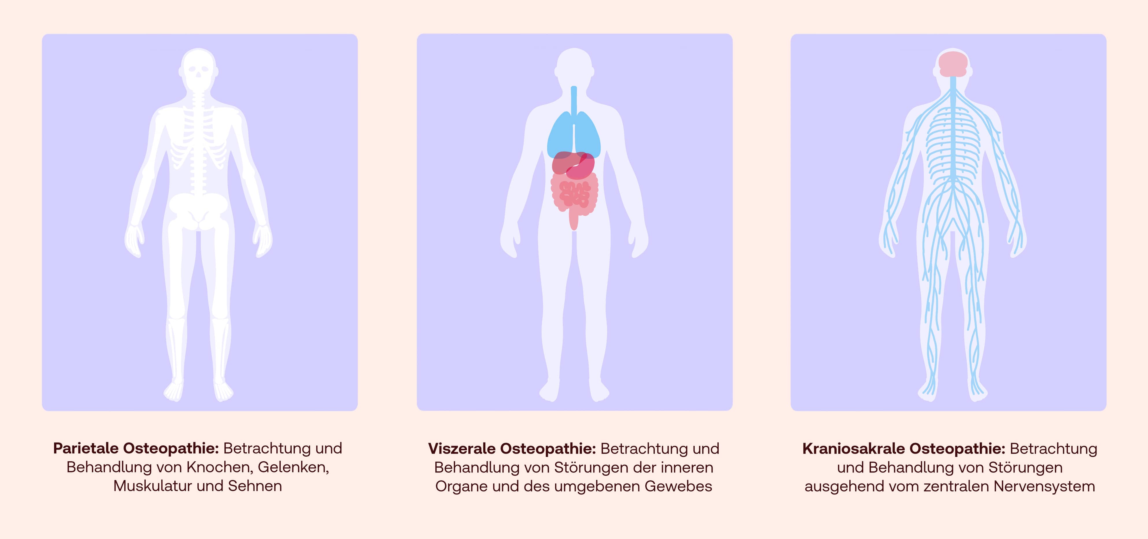 Osteopathie: Behandlung & Wirkung | Shop Apotheke