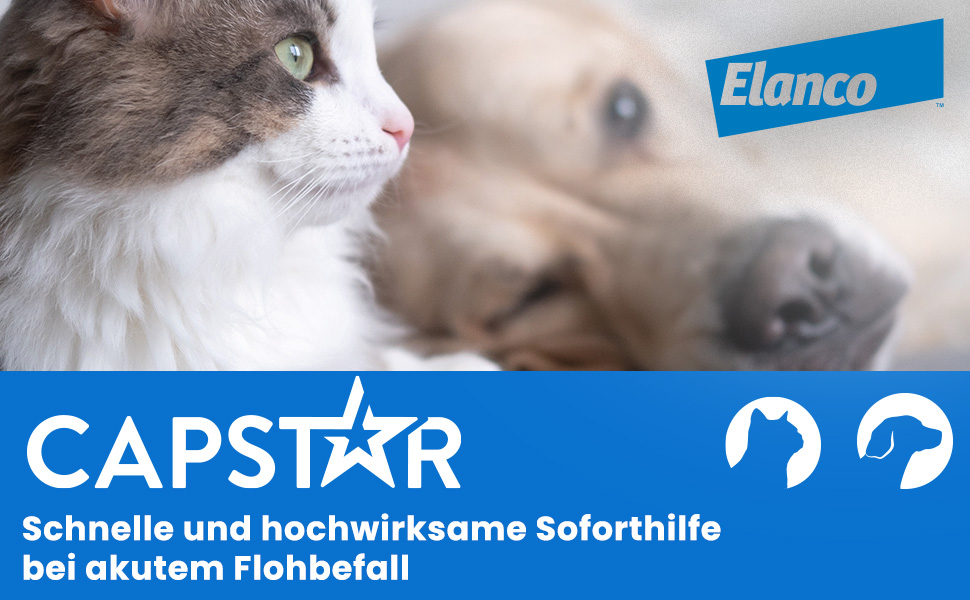 Katze und Hund, Capstar Logo, Text: Schnelle und hochwirksame Soforthilfe bei akutem Flohbefall.