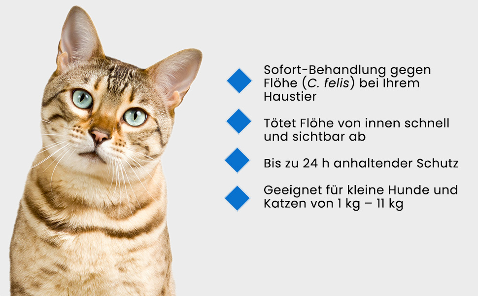 Katze, Text: Sofort-Behandlung gegen Flöhe. Tötet Flöhe von innen. Geeignet für kleine Hunde und Katzen.