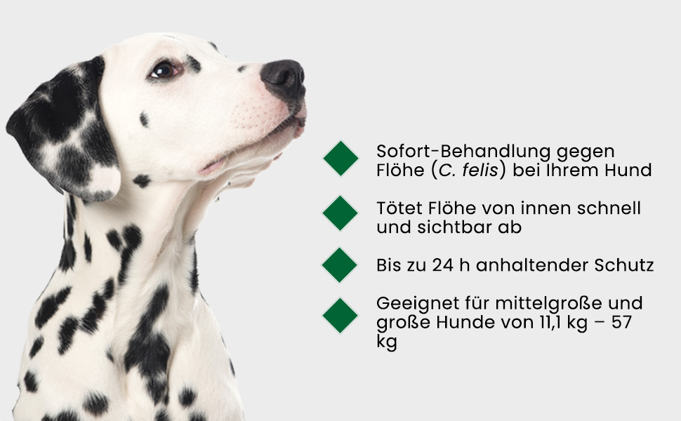 Infografik: Sofort-Behandlung gegen Flöhe. Tötet Flöhe schnell. Geeignet für mittelgroße und große Hunde.