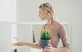 Frau putzt Regal. Frau mit Topf mit Pflanze. Helle Umgebung.