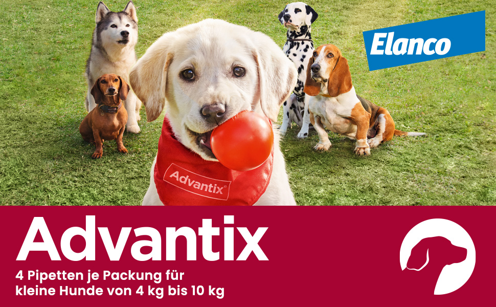 Mehrere Hunde mit einem Ball. Text: Advantix, 4 Pipetten für kleine Hunde von 4 bis 10 kg.
